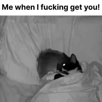 Losercity Pure vibes