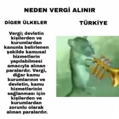 Madem türksün vergi ver ürksün