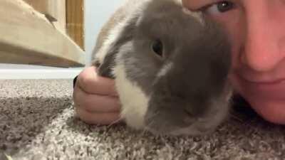 My little theodore absolutley loves cuddles! 🤍