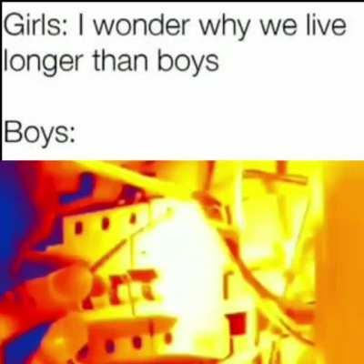 Ferb! I know what are we gonna do today