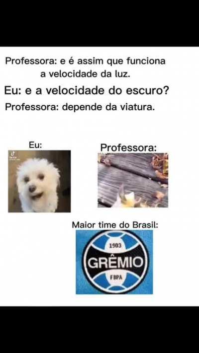 ShitpostBR - Video #4285