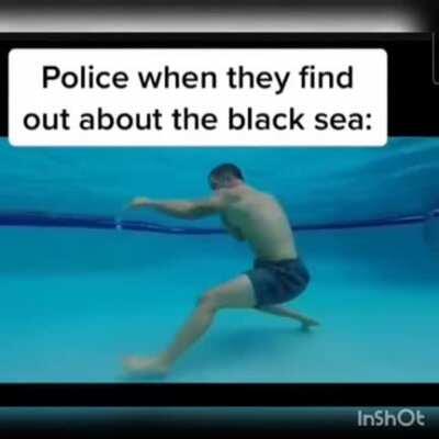 Thought this would fit here