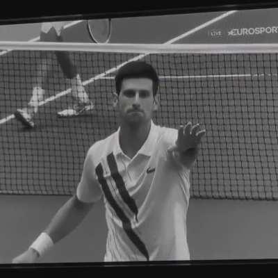 Djokovich realises he’s going to be disqualified from the US Open after hitting line umpire