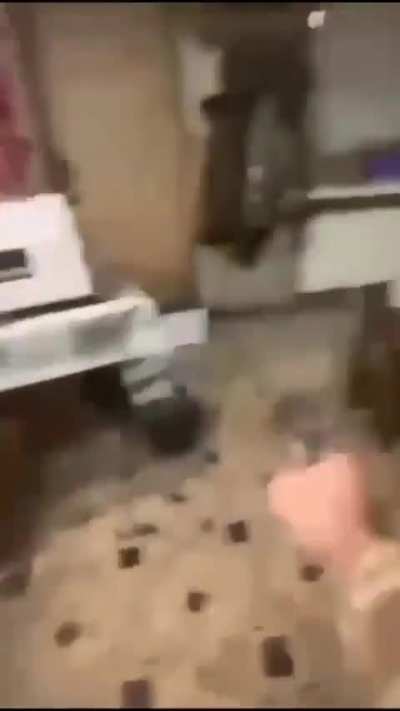 Did they even get the mouse?