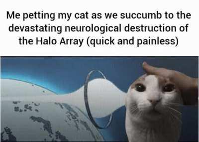 (quick and painless)