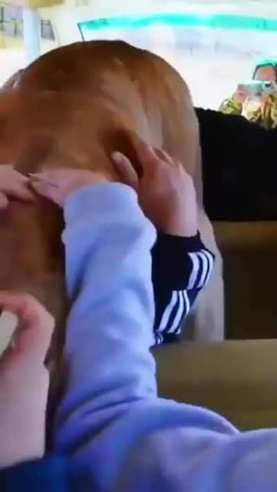 Just a few skritches