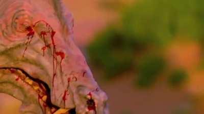 Before modern Carnivorans evolved, the Entelodonts or as many call 