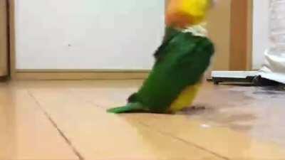 What was your first thought?