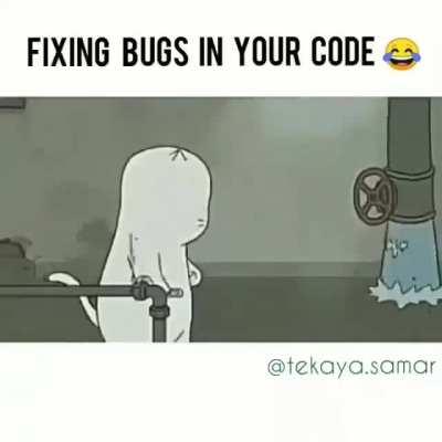 When i try to fix bugs