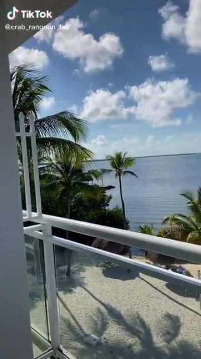 Beach Day ⛱ [@crab_rangoon_fan]