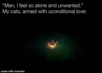 Protect our furry friends regardless of their species.