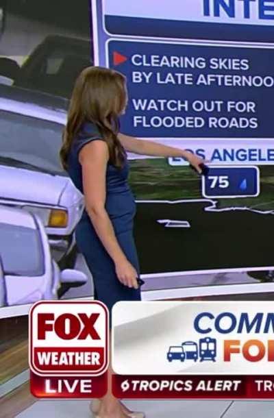 Britta Merwin Fox Weather