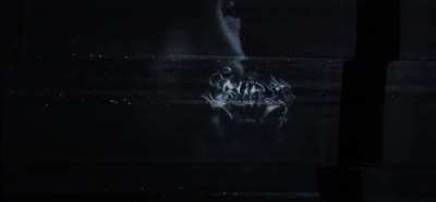 analog client work 💅