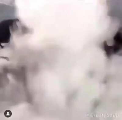 Cortesito de pelo fachero facherito