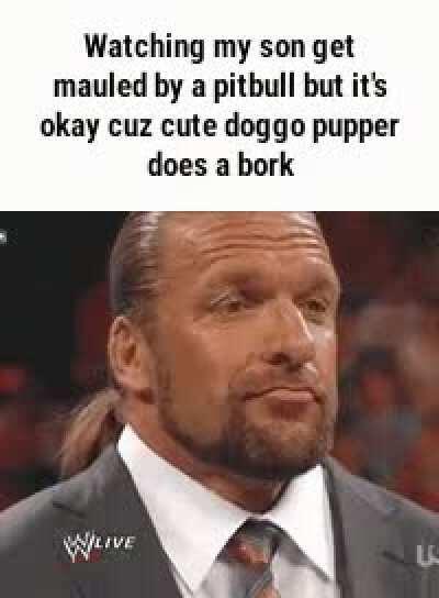 What a heckin cute pupper(so holesome)