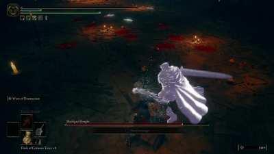 This boss summoned a ghost to tbag me bruh 