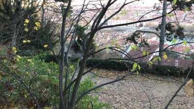 France - View over Lyon from Fourviere