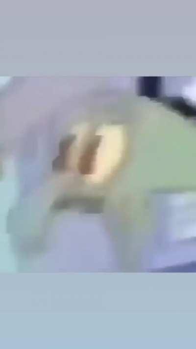 Crew love be having me like