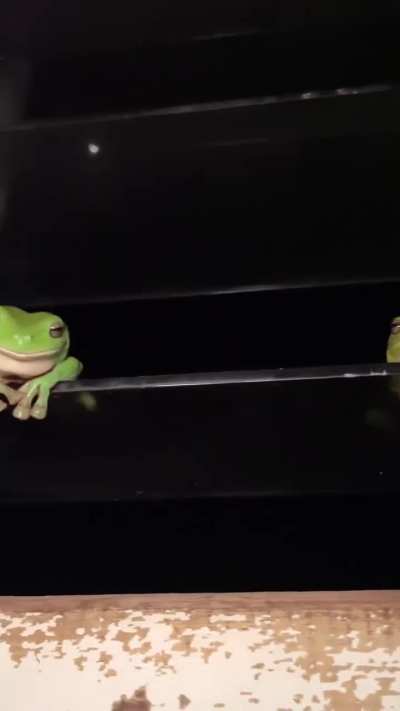  Looks like they're enjoying it