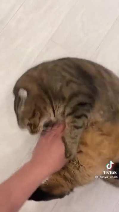 Нападение на толстяка