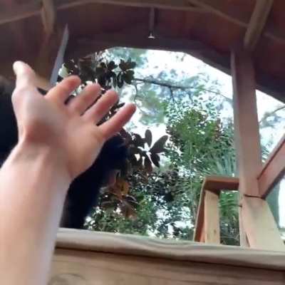 Lil bro is so helpful