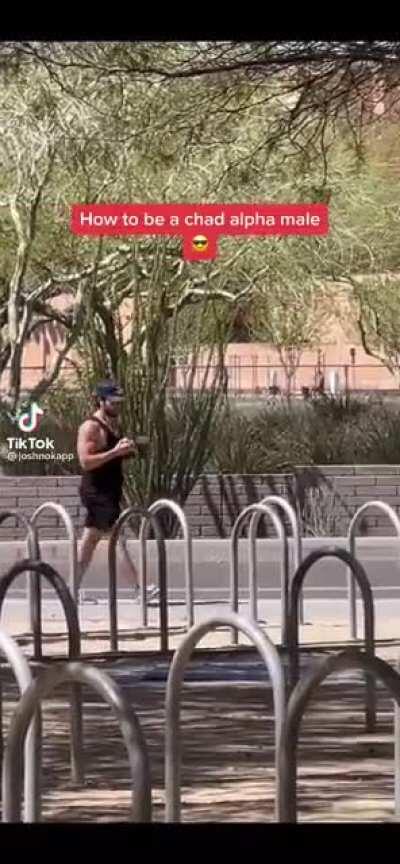 How to be a Chad alpha Male, apparently