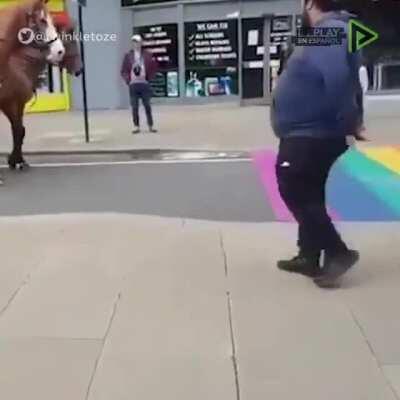 caballos homofobicos
