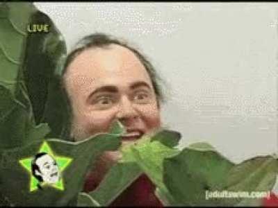 Citadel interns letting the price go up so they can watch banana in the keister guy: