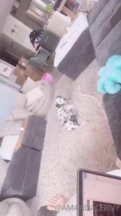 Don't believe what she says