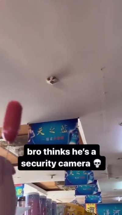 Security camera 😂