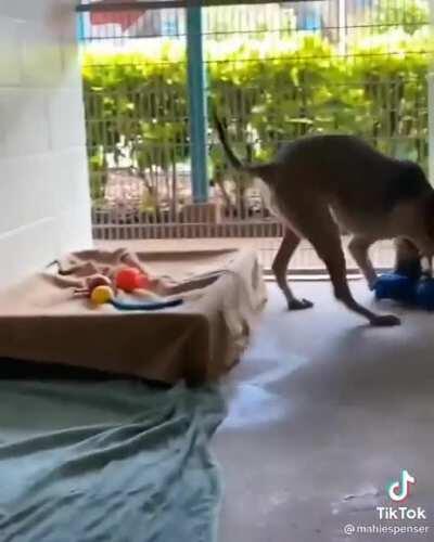 Delivery de brinquedos