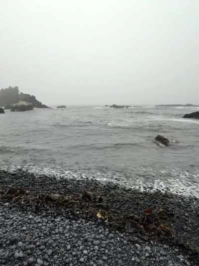 Here’s some foggy Yaquina tide pool vibes for anyone that needs a break from the heat and smoke 🌊