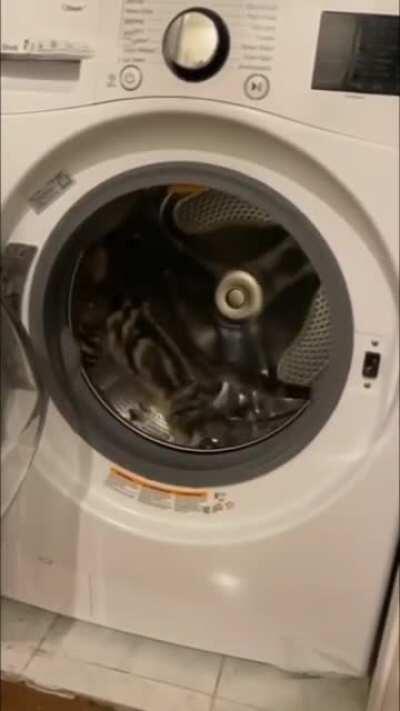 Ну а что, весело же