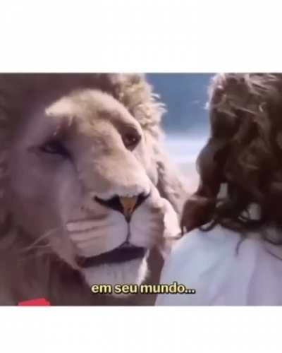 🦁 