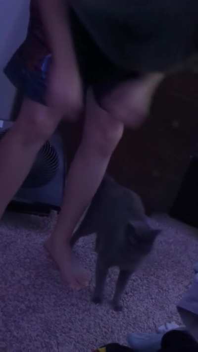 Charlotte demands bongos before bedtime