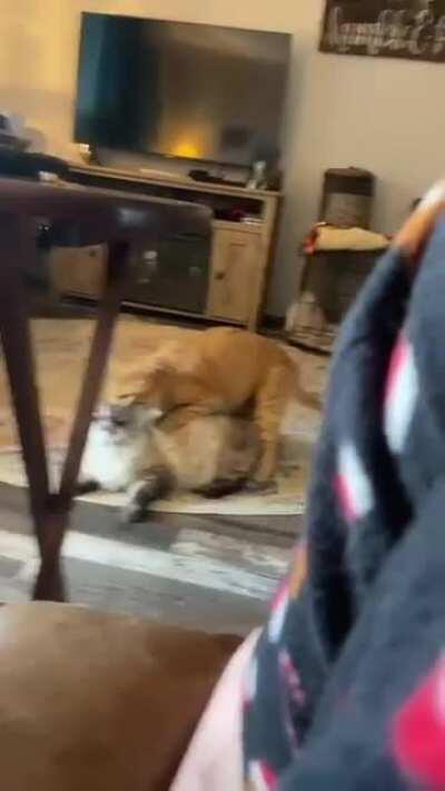 He really said “the girl said no.. buddy”