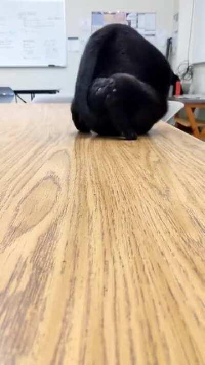 Edge detection failure