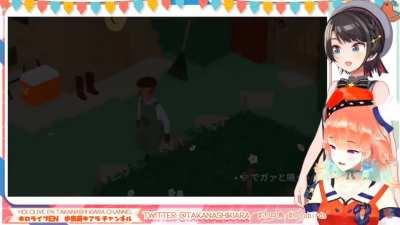 Bird noises intensify