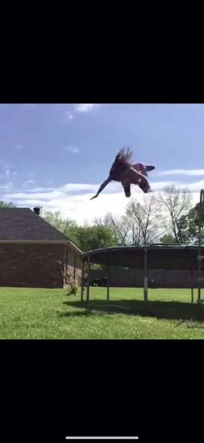 What an interesting choice.