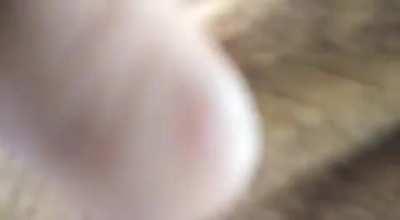 GTA Chase IRL At Pavangad