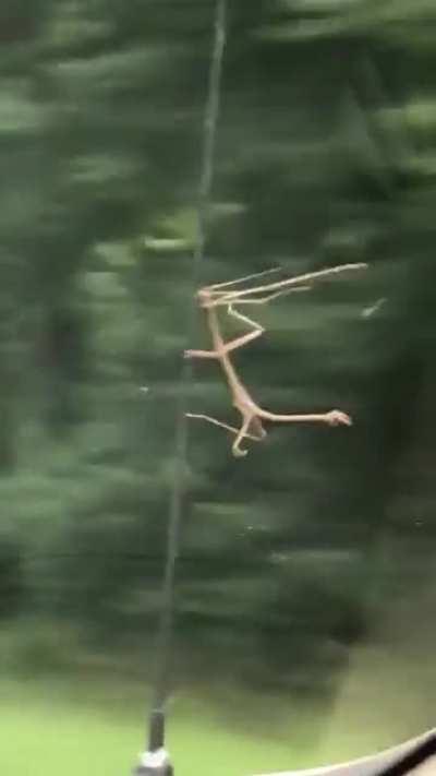 Whoa, slow the fuck down