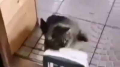 Fucken amgry at this shit. (⚠️ Ear rape warning)