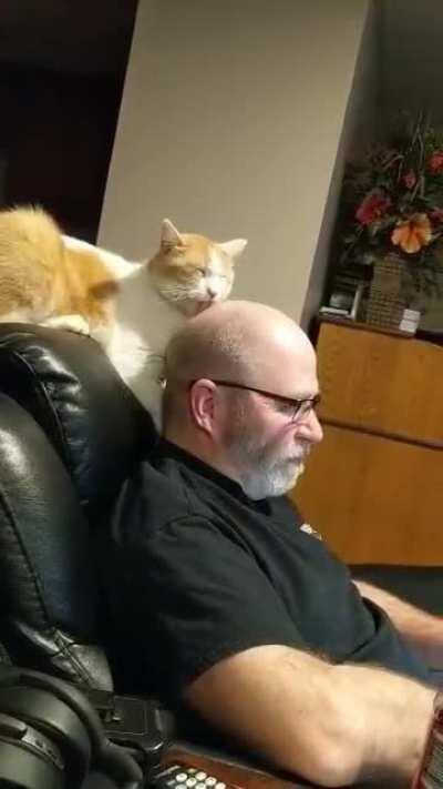 Sisters cat moved in with my uncle & aunt...