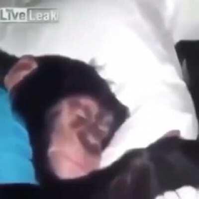 When zombies get to you while you're sleeping