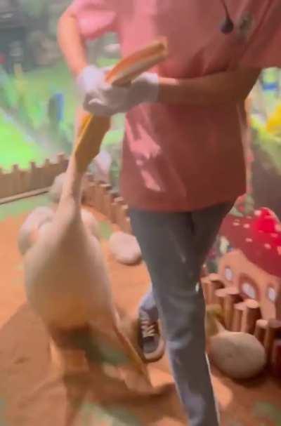 To eat your colleague at work