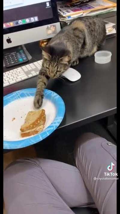 to not touch everything