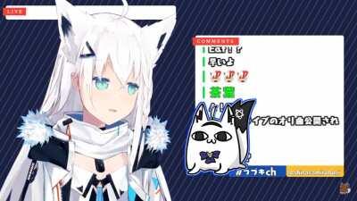 Fubuki answers an important question during her recent fall guys stream