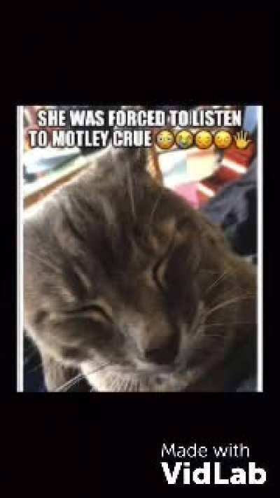 I should be legally restricted from use of editing software!!!!(my first video funny!)