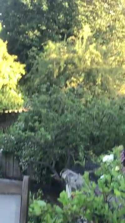 The mothership returns