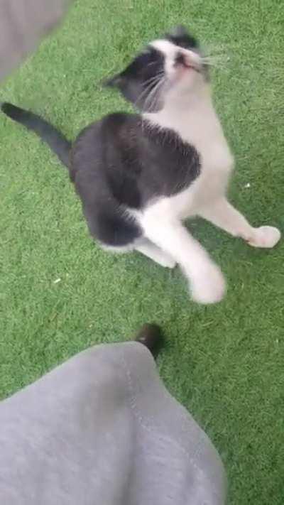 I was trying to make her meow.